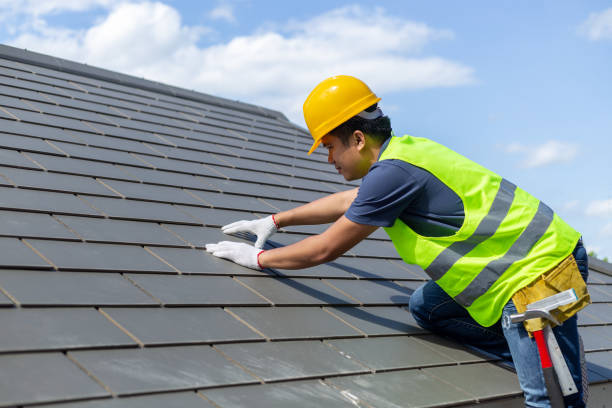 Best Sheet Metal Roofing  in Forrest, IL