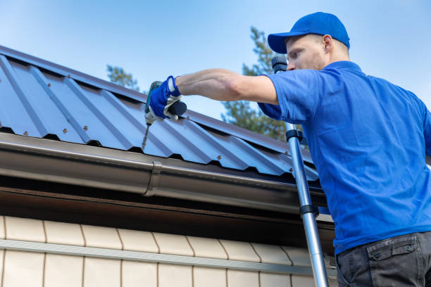 Waterproofing in Forrest, IL