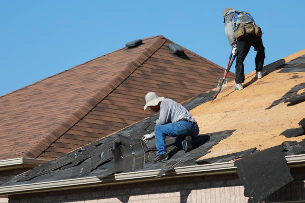 Best Skylight Installation and Repair  in Forrest, IL