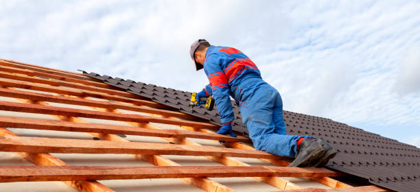 Best Roof Maintenance and Cleaning  in Forrest, IL
