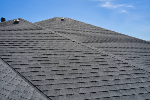 Best Roof Moss and Algae Removal  in Forrest, IL