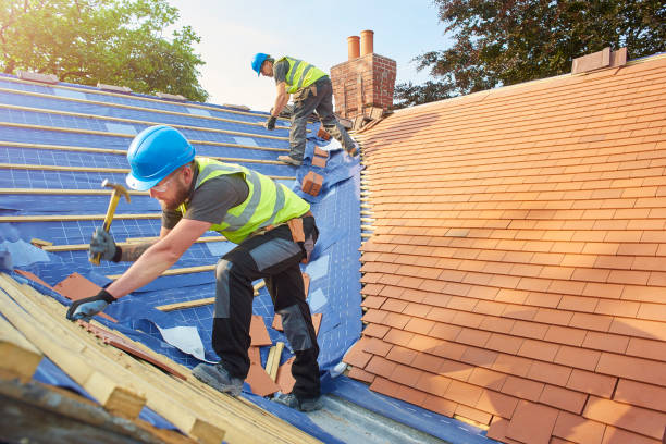 Best Emergency Roof Repair Services  in Forrest, IL